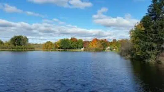 Gibson Island Restoration Project