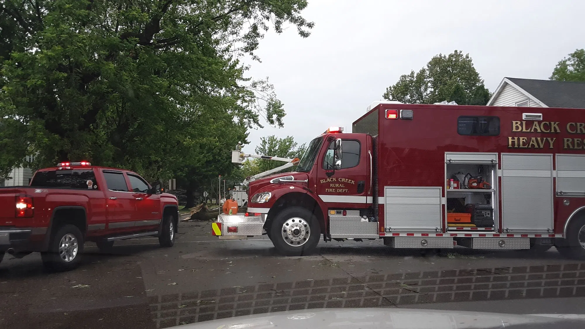 Storms Knock down Trees - Disrupt Power, Pictures Of Aftermath