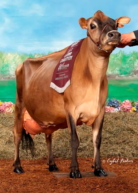 Cecil's Milk-n-More Tequila Naomi is 2019 Cow of the Year