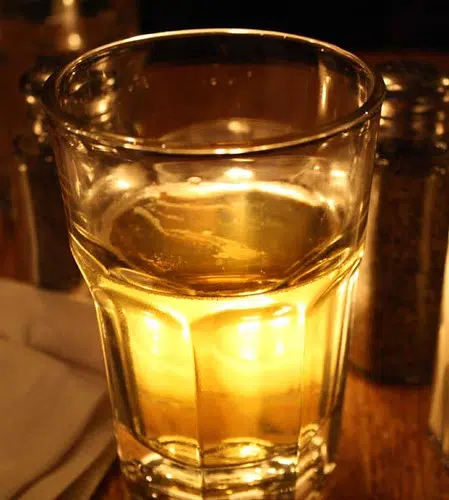 Attorney On Wrong Side Of The Law