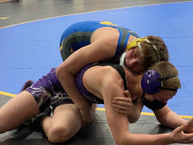 D2 &D3 WIAA Sectional Wrestling Preview: Manawa, Coleman Have Numbers, D2 Has Top Ranked Wrestlers