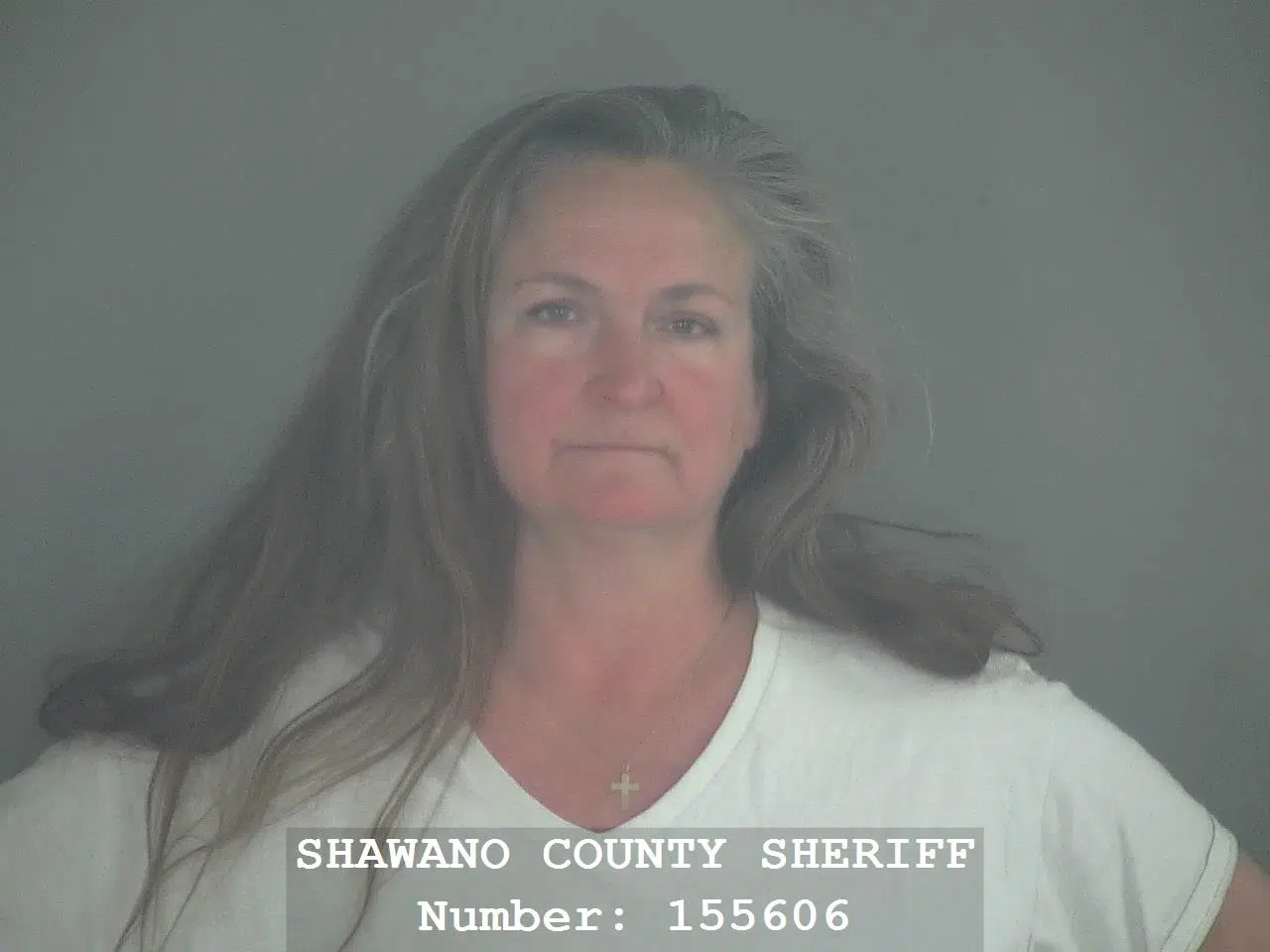 Judge Denies Bond Reduction for Repeat Offender Ann Retzlaff