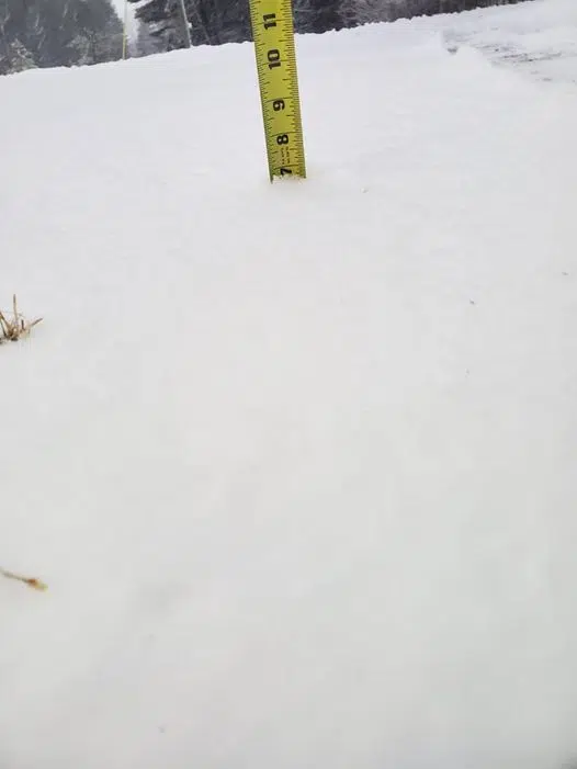 High Snow Totals In Shawano