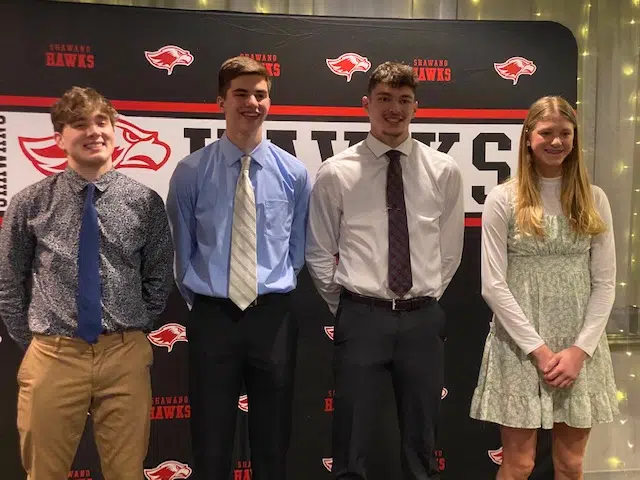 Four Shawano Athletes Win Bay Conference Top Honor