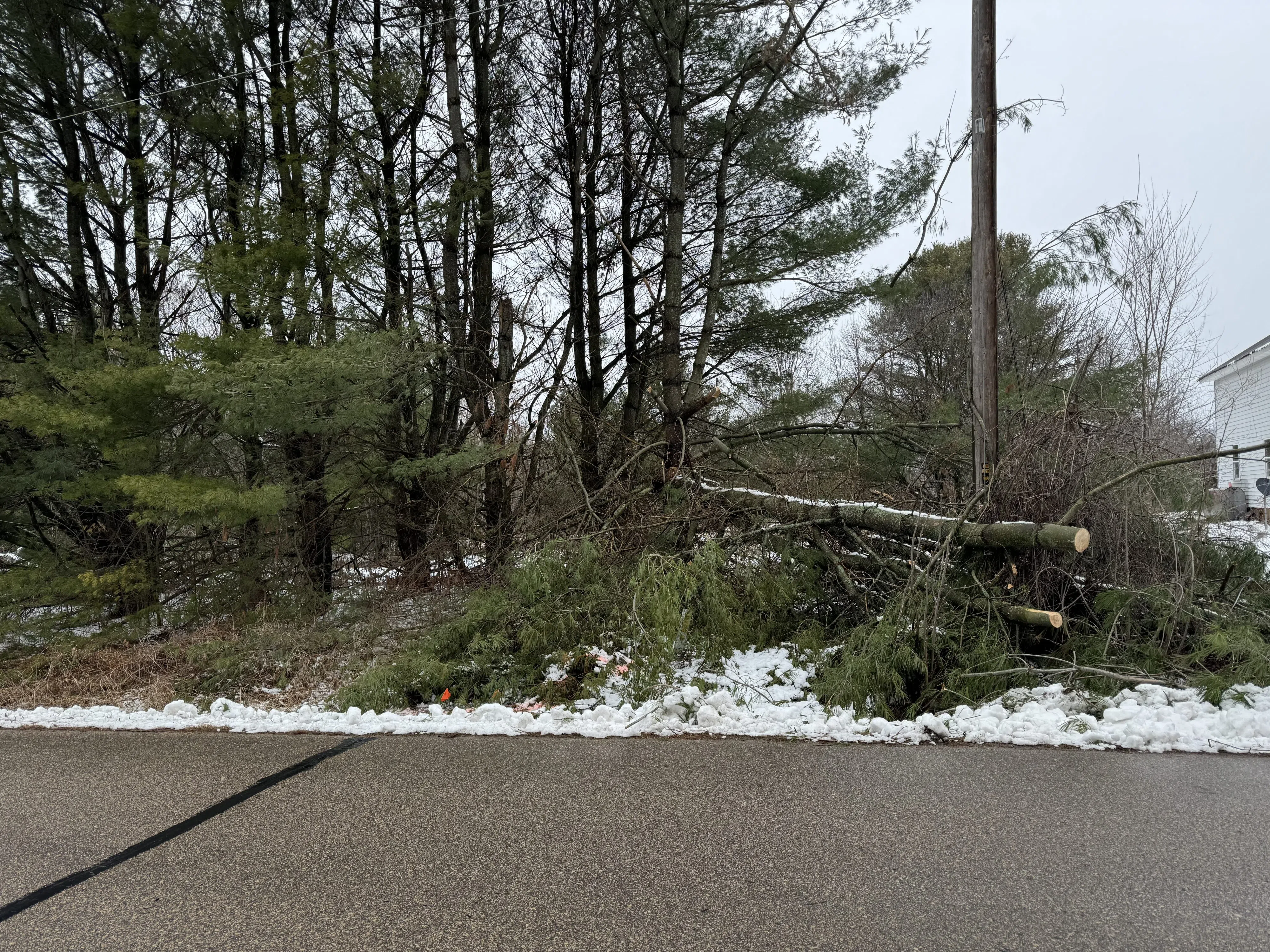 Power Outages Caused From Heavy Branches