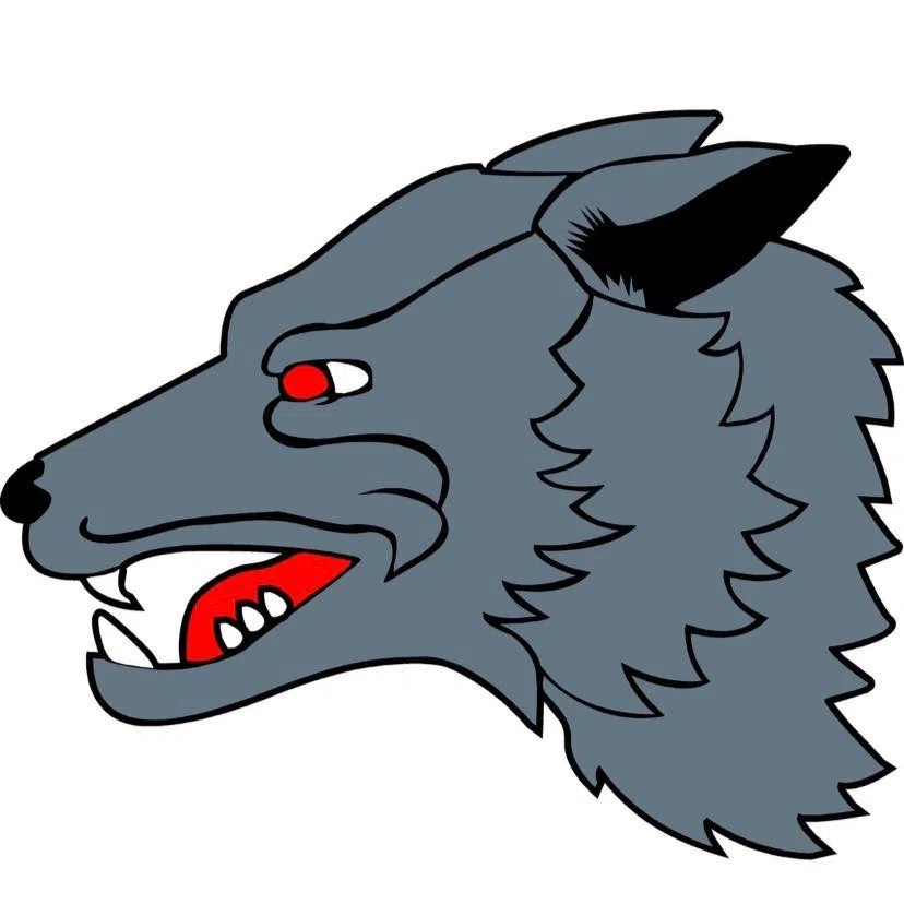 Shawano Lobos Tournament Underway