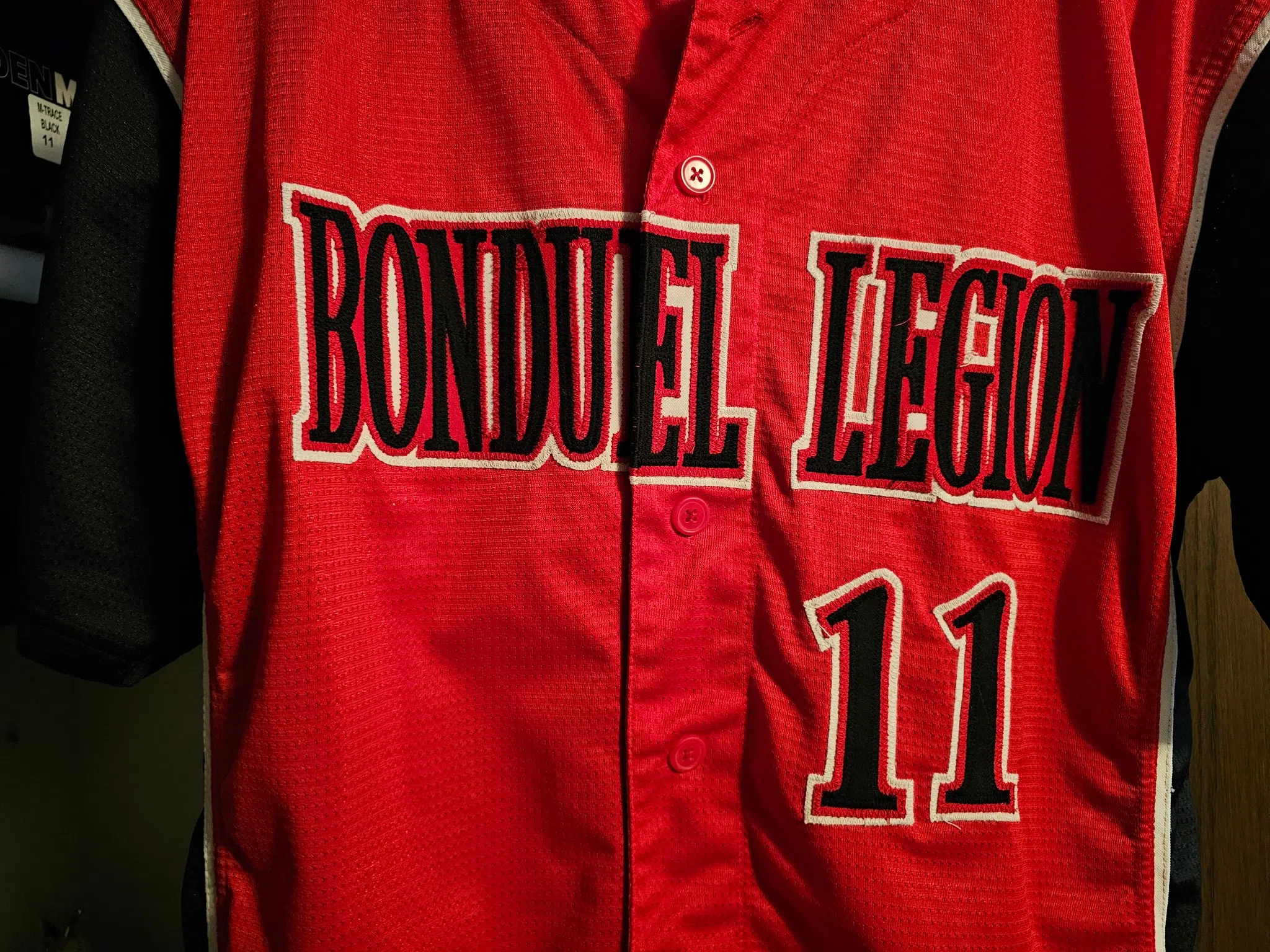 Bonduel Grizzlies Rely on Deep Pitching Staff Ahead of State Tournament