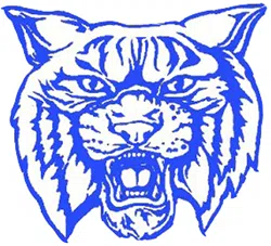 HS Football Week 6 Scoreboard: Lena/STAA Keeps Rolling; Oconto Falls Upsets Coleman