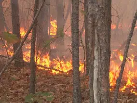 Wildfire Danger on the Rise
