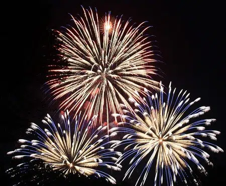 Independence Day Celebrations!