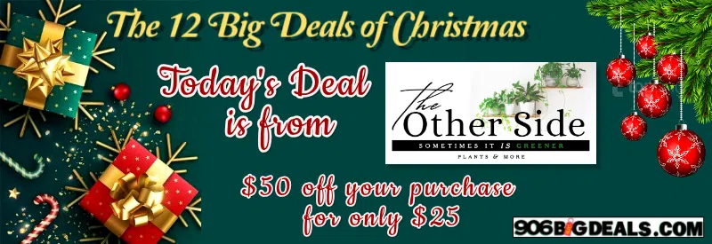 Feature: https://906.bigdealsmedia.net/item/72158/$50-towards-purchase