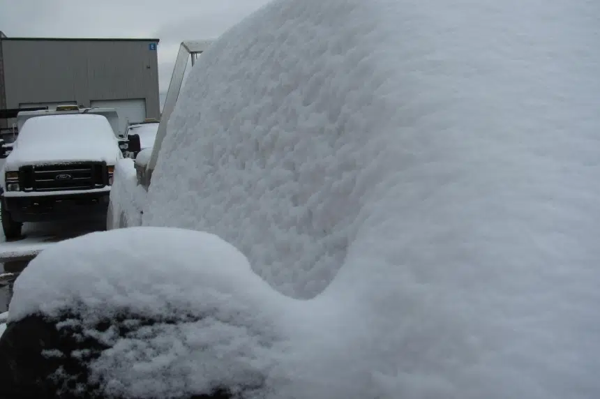 Snowfall hits southeast Sask., Regina