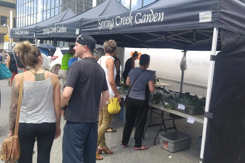 Regina Farmers' Market vendors dealing with dry summer