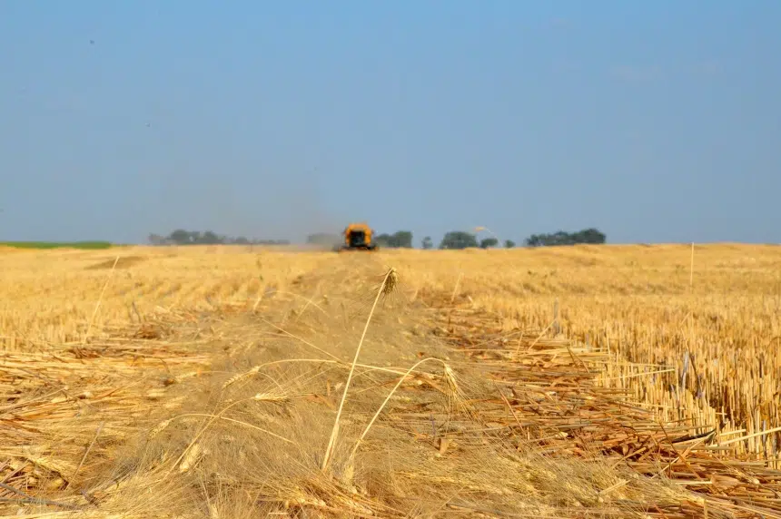 Saskatchewan's harvest nearly three-quarters complete