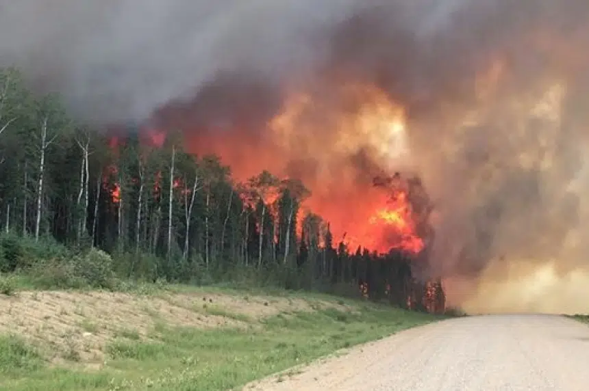 Sask. won't follow Alberta's early start to forest fire season