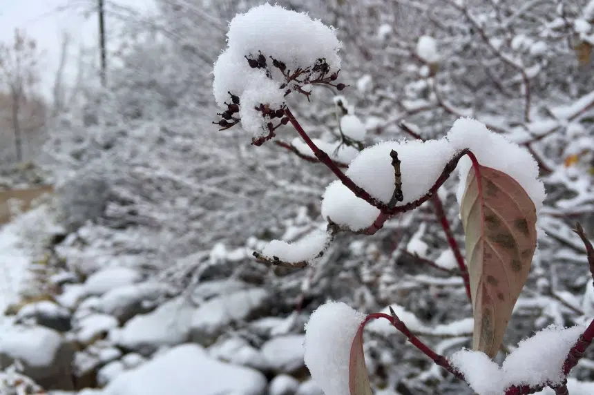 White Christmas for Saskatoon still uncertain: Environment Canada