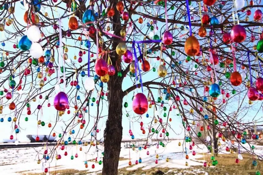 Easter miracle tree grows funds for Aberdeen