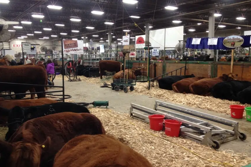 Big business, new events to look forward to as Agribition kicks off in Regina