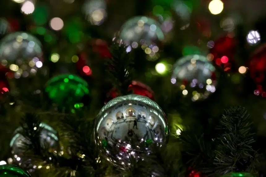 Christmas tree recycling begins in Regina