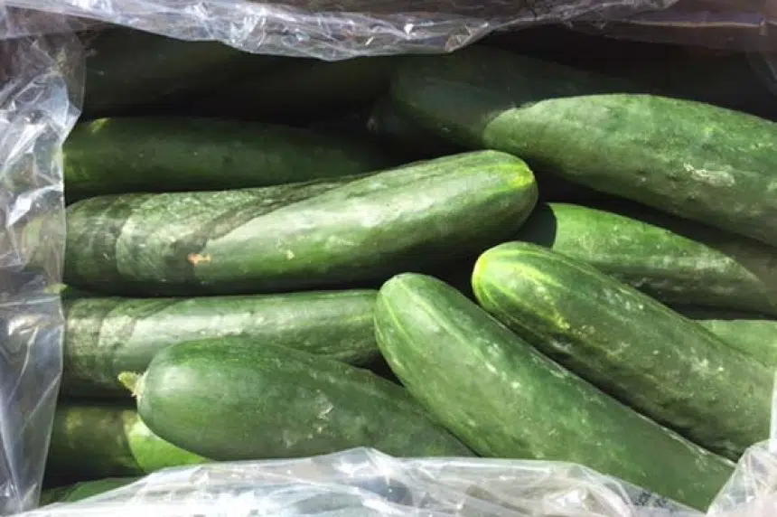 Safeway recalls cucumbers due to salmonella risk