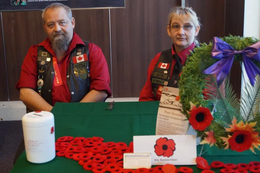 Sask. Veteran: Every poppy reminds us what we did wasn't a waste of time