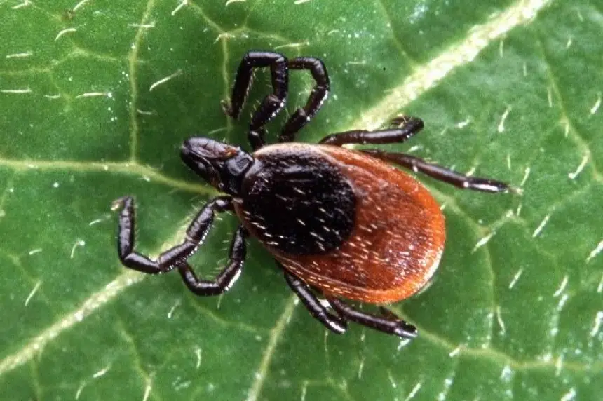 Climate change increasing range and number of ticks