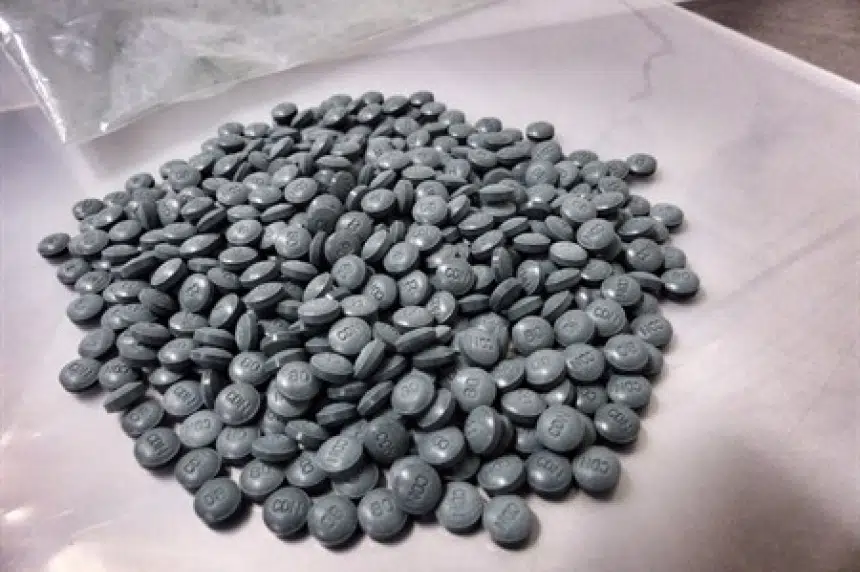 Fentanyl believed to be among substances seized in Regina