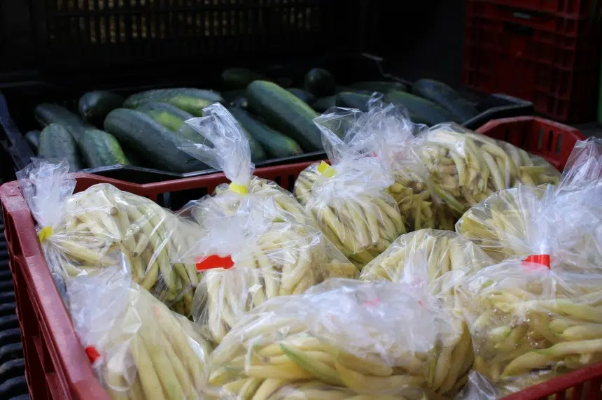 Saskatoon Food Bank sees more people in need of nourishment