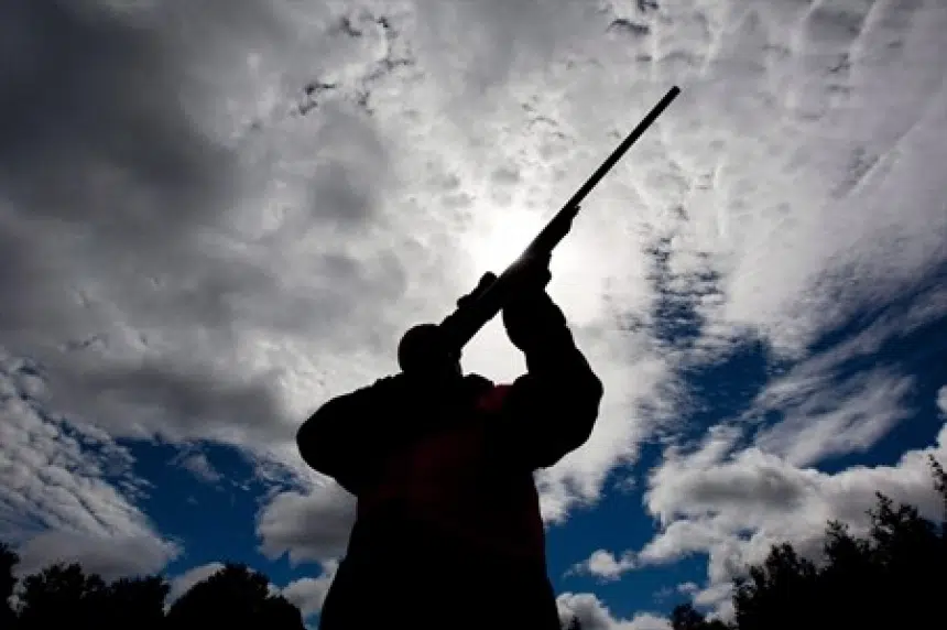 Sask. man fined for unlawful hunting near Kipling