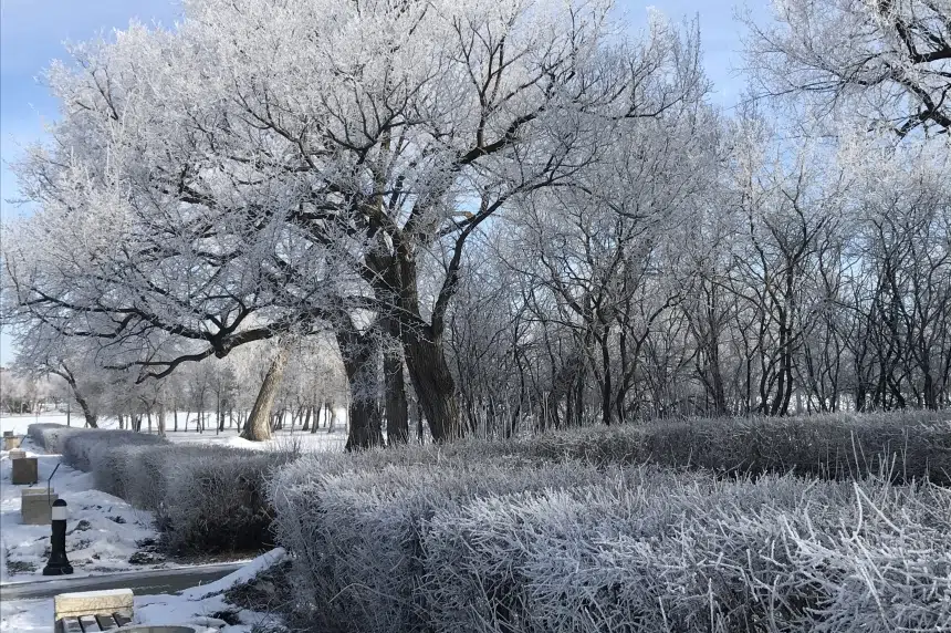 Sask. saw 'dual personality' weather in February: Environment Canada