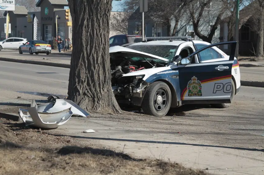 Saskatoon police cruiser collides with Idylwyld tree