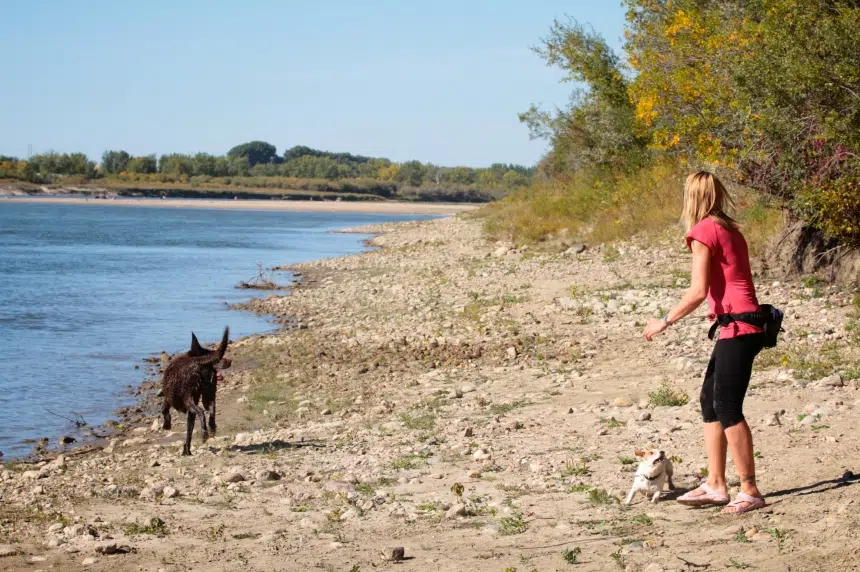 Dog owners growling at new Whitecap Park plan