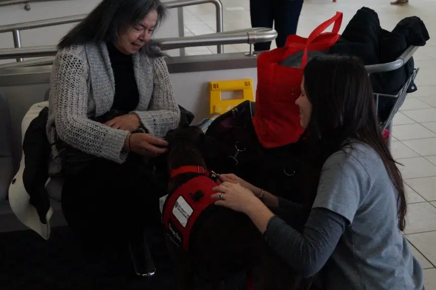 Research shows therapy dogs help with addiction treatment