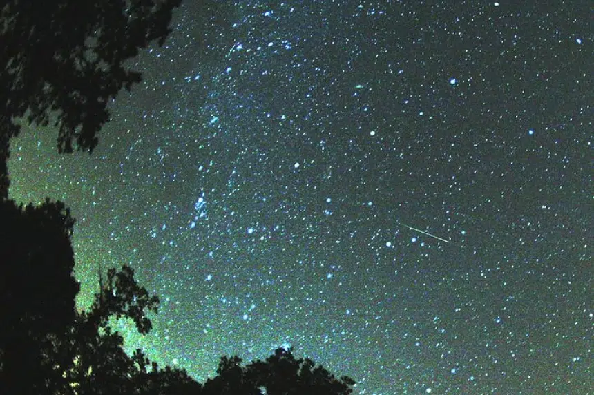 Stargazers expect best meteor shower Wednesday night