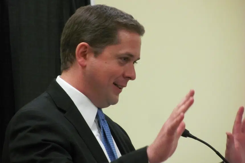 New leader Scheer increases party popularity: Mainstreet