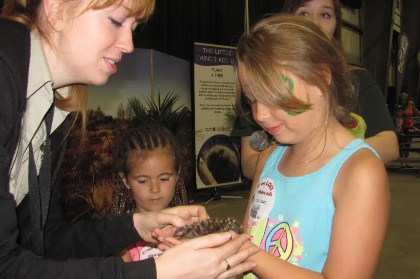 Kids make friends with a spider at the Queen City Ex