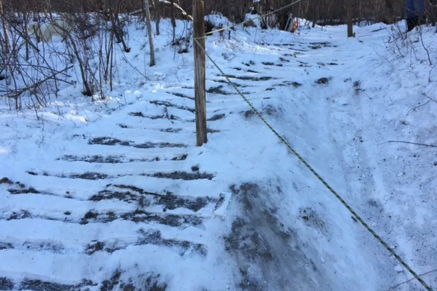 Saskatoon landscaper creates 'ice stairs' at Chief Whitecap dog park