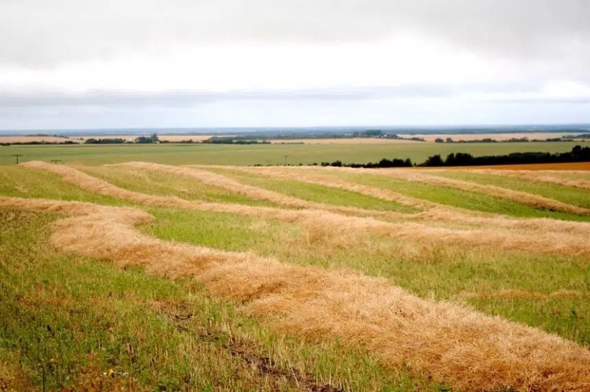Harvest is underway in some areas of Saskatchewan