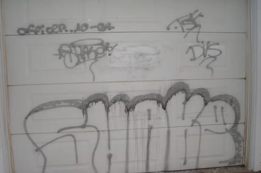 1 man facing 70 charges for graffiti seen in Regina's Cathedral area, Wascana Centre