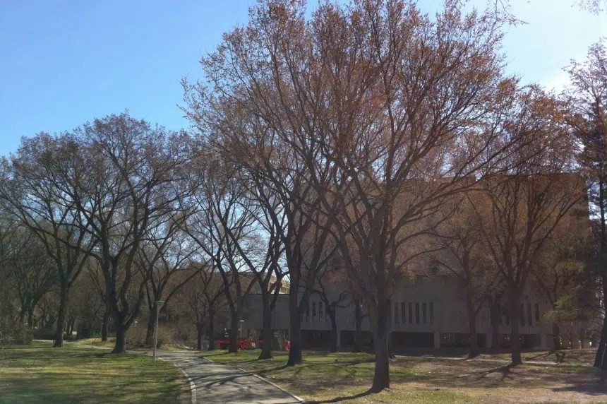 UPDATE: Dutch Elm Disease pops up in Saskatoon for the 1st time