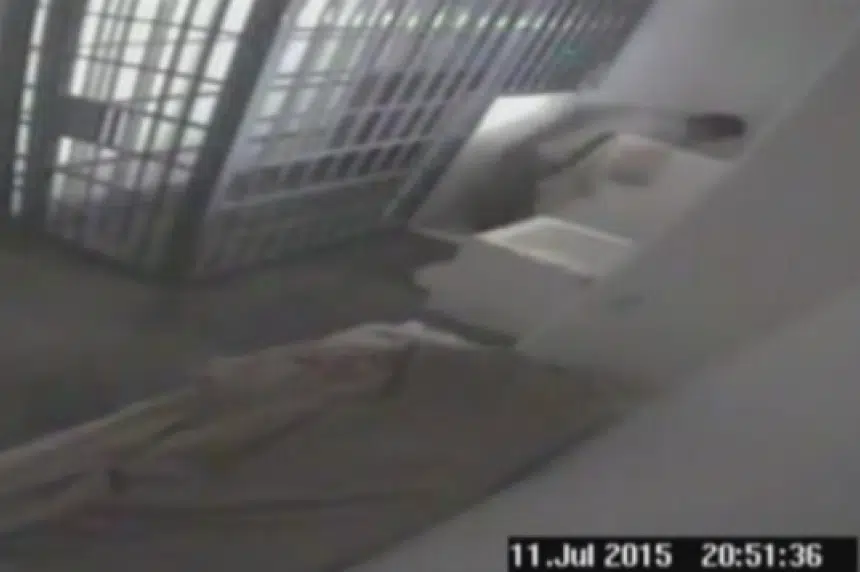 VIDEO: Drug lord exploits blind spots in cell to escape Mexican prison