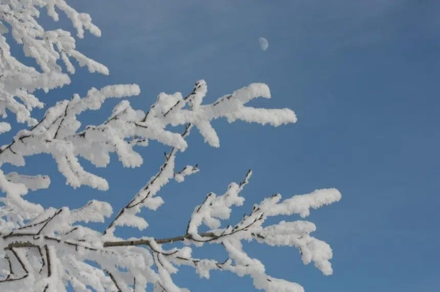 Up to 15 centimetres of snow forecast for central Saskatchewan