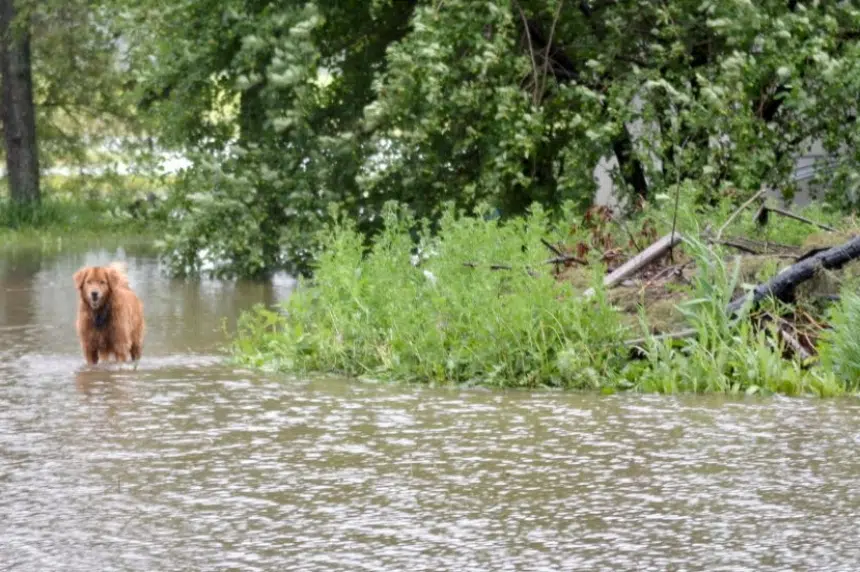 Sask. farmers in flood areas report drowning crops