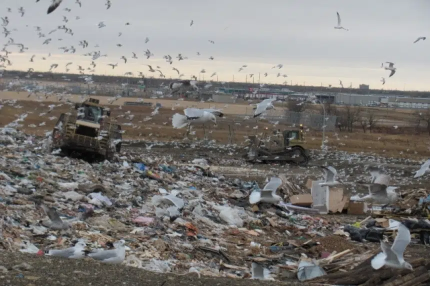 Regina reducing landfill capacity during expected wind event