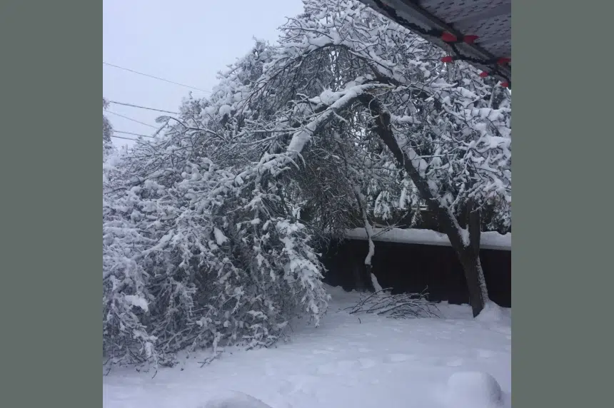 Heavy snow knocks out power to northwest Sask.