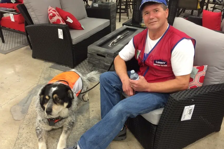 Service dog of Regina Lowe’s employee put down due to illness