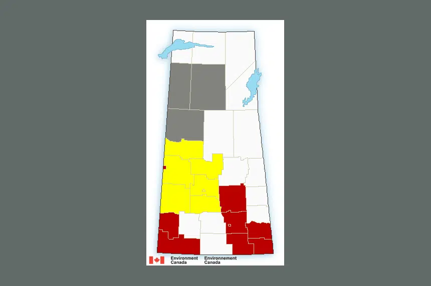 Storms expected to bring heavy rain, 100 km/h wind to Sask.