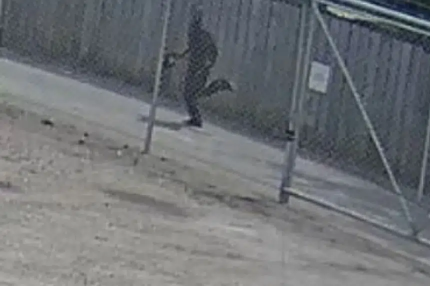 Surveillance video appears to show suspect in Saskatoon's 8th murder: police