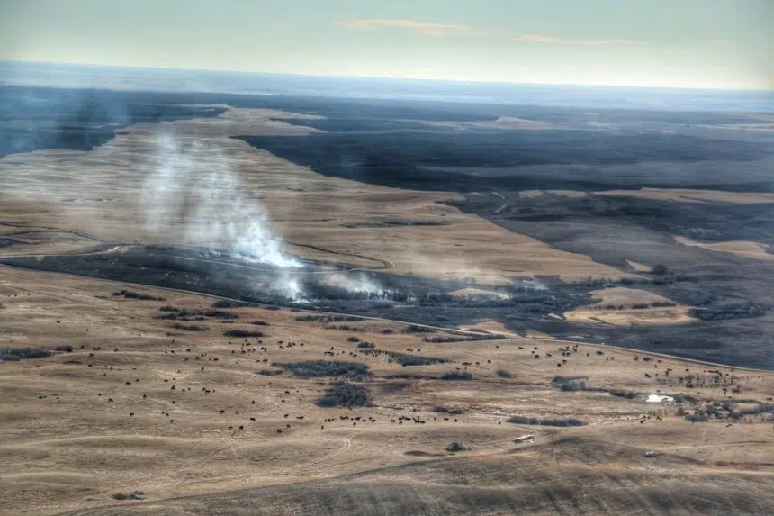 Fund collects hay, money for ranchers affected by wildfire 