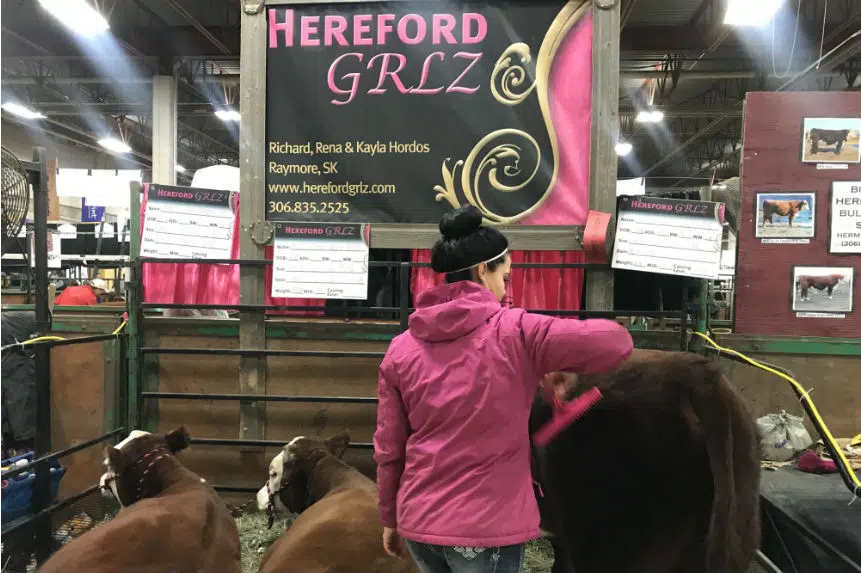 'Everything pink:' cattle stall turns heads at Agribition